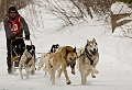 2009-03-14, Competition de traineaux a chiens au Bec-scie (132130)